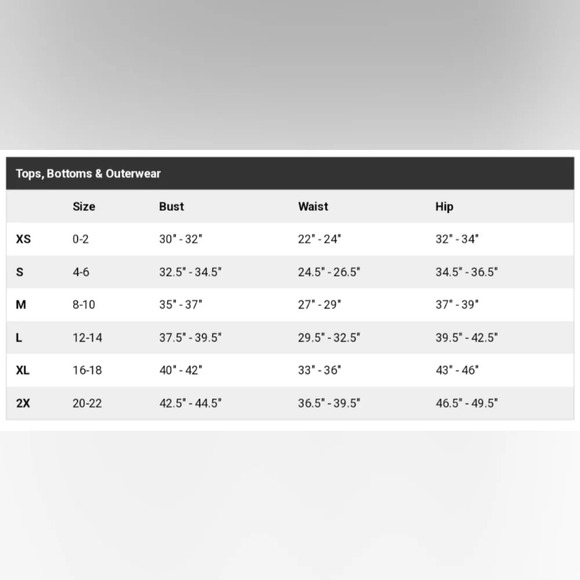 Champion Gray Graphic Crop Top Casual Streetwear Size Small - Picture 5 of 5